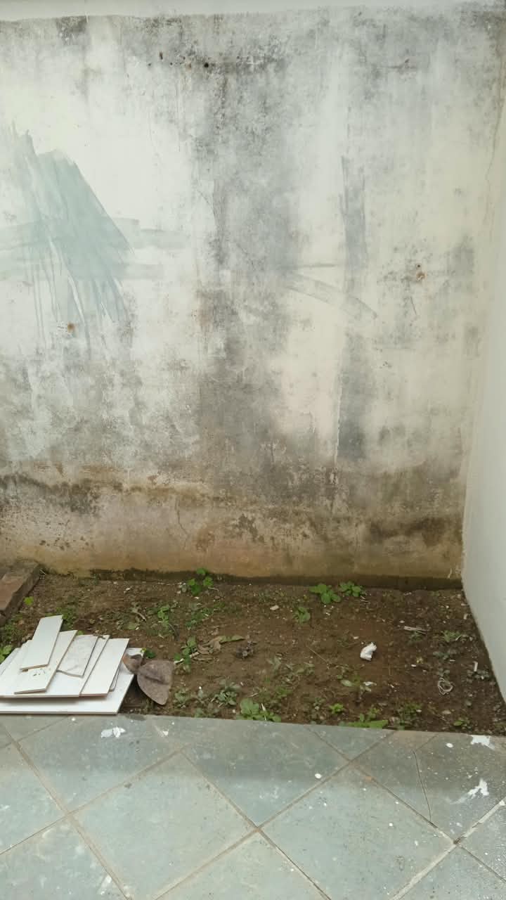 Trabalho realizado pela QHZ UNIVERSAL